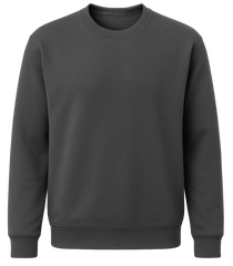 Men's Sweatshirt