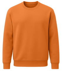 Men's Sweatshirt